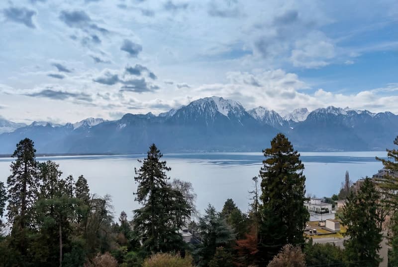 Magnificent 3.5-room apartment, panoramic view of Lake Geneva in Clarens. Garage included (1)