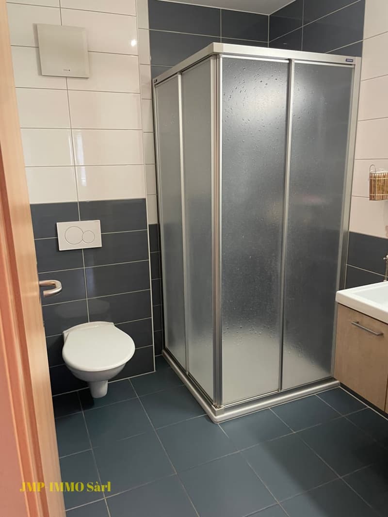 Beautiful 3.5-room apartment close to schools (8)
