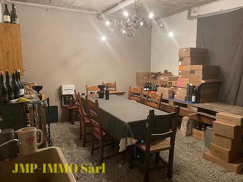 À saisir maison villageoise à rénover avec vue et ensoleillement (22)