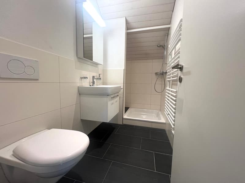 modern bathroom with white tiles, white toilet, white sink, shower, mirror, radiator
