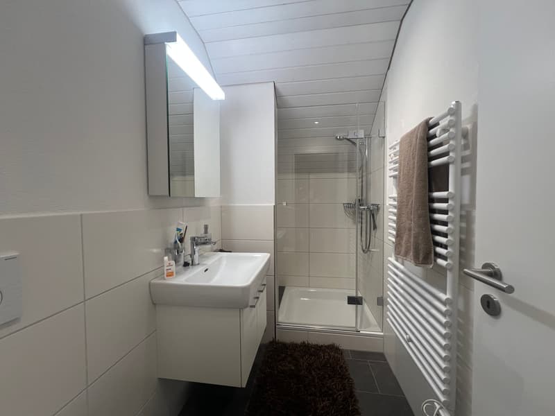 modern bathroom with white tiles, white sink, mirror, shower, towel rack, and a small rug