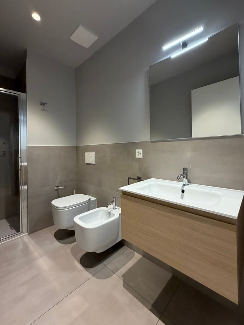 Breganzona 2.5 rooms. Furnished Rent 1'690 Expenses 150 (8)