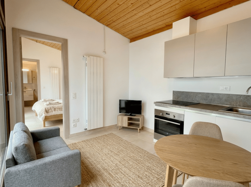 small cozy room with bed, couch, TV, small table, kitchen with sink, oven, microwave, open layout