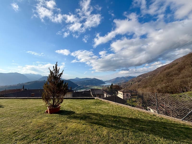 green lawn, potted plant, chain link fence, mountains, lake, houses