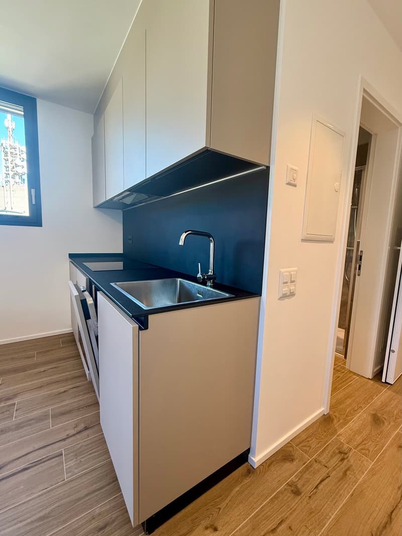 Breganzona 1.5 Zimmer. Eingerichtet Miete 950 Nebenkosten 100 | (5)