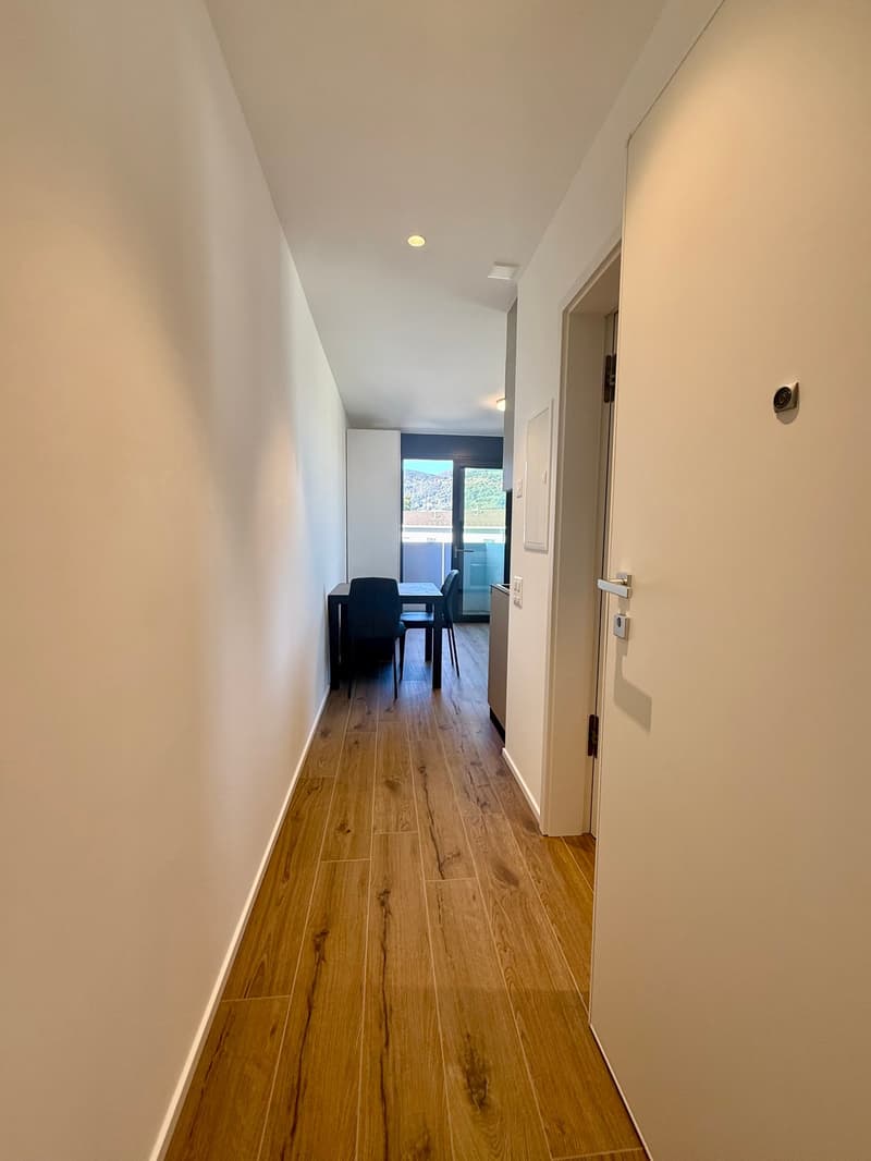 Breganzona 1.5 Zimmer. Eingerichtet Miete 950 Nebenkosten 100 | (4)