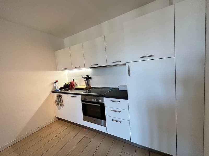 Moderno appartamento 3.5 locali con balcone a Balerna (3)