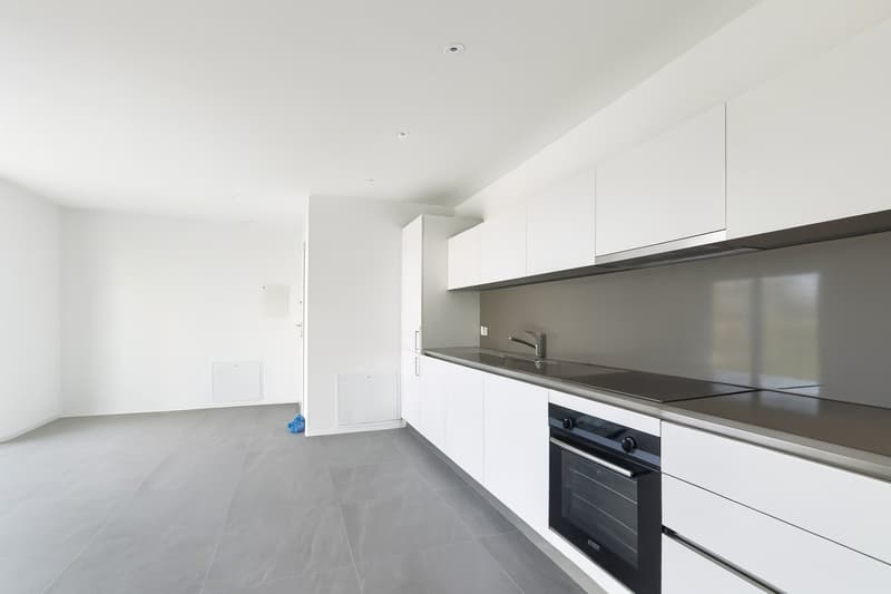 Caslano 2.5 loc. Moderno con Grande Terrazza | Pigione CHF 1'430 (1)