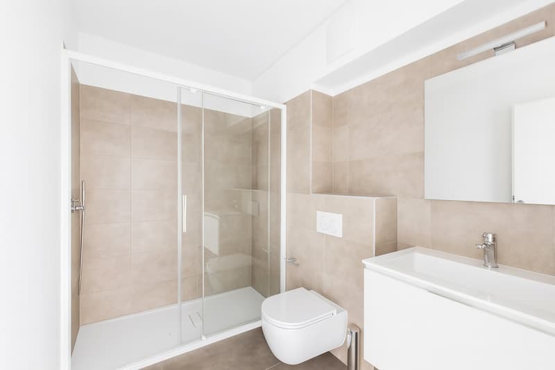 Monteggio | Modern 2.5 rooms (7)