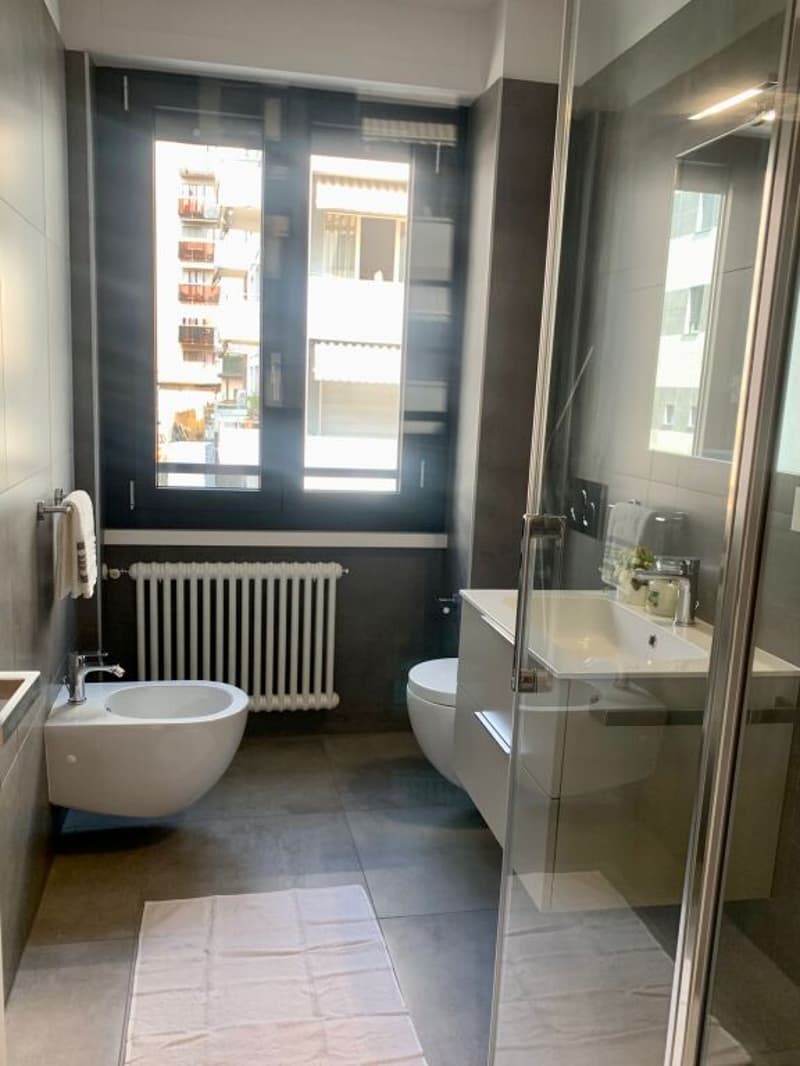 Molino Nuovo 2.5 loc. Arredato Pigione 1'450 Spese 250 (6)