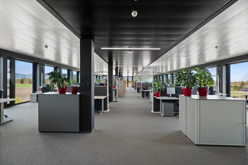 pro Trakt 450 - 480m²