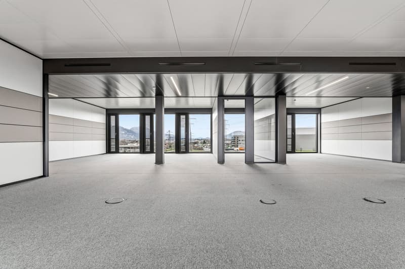 Bureaux premium avec équipement moderne et liaisons de transport idéales à Hohenems (6)