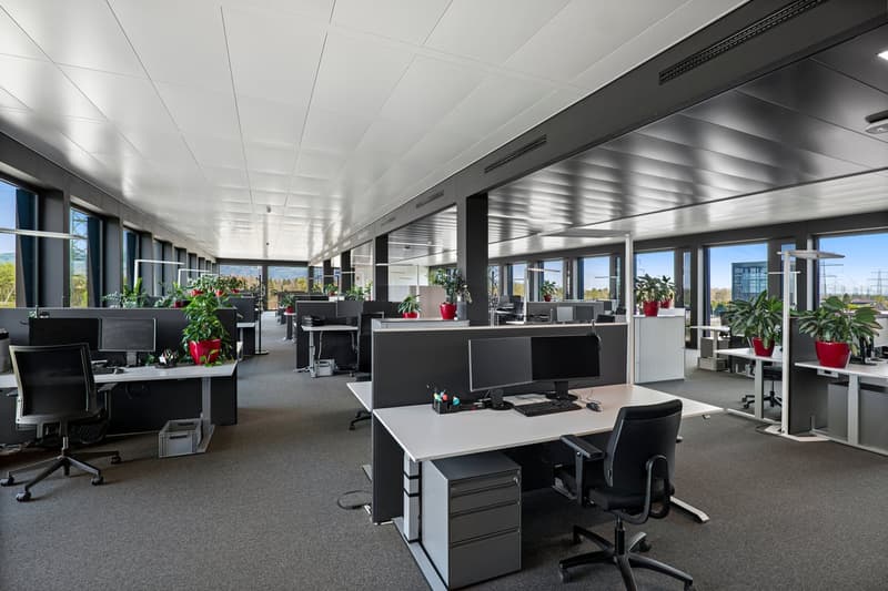 Modern office space with desks, cubicles, large windows, white walls, gray carpet, and greenery