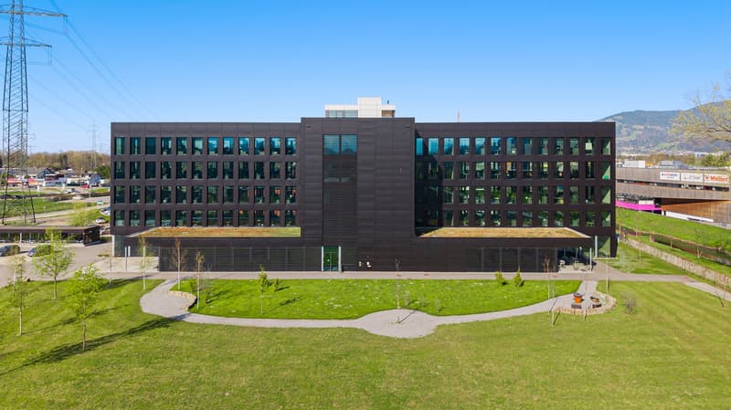 modern office building, black facade, glass windows, three floors, grass lawn in front, green rooftop, surrounded by trees, distant mountains