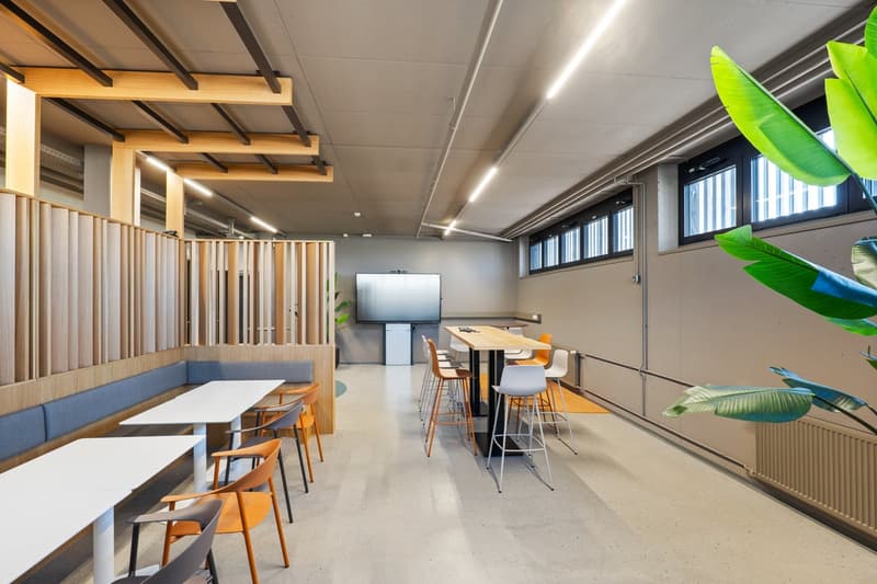 Open space with modern design, wood walls, tables and chairs, TV, plants