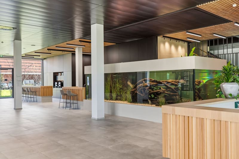 Espaces de bureau ou de pratique frontaliers - AT, accès direct à l'autoroute (35)