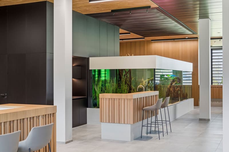 Espaces de bureau ou de pratique frontaliers - AT, accès direct à l'autoroute (34)