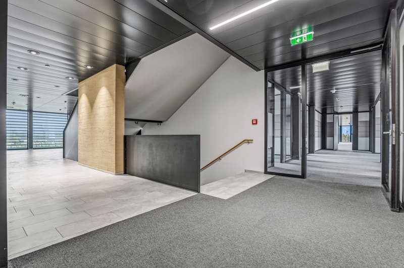 Espaces de bureau frontaliers dans un bâtiment neuf moderne (15)