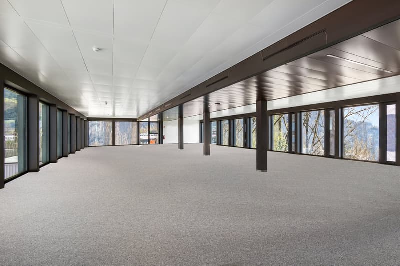 Espaces de bureau frontaliers dans un bâtiment neuf moderne (7)