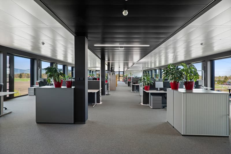 Espaces de bureau frontaliers dans un bâtiment neuf moderne (2)