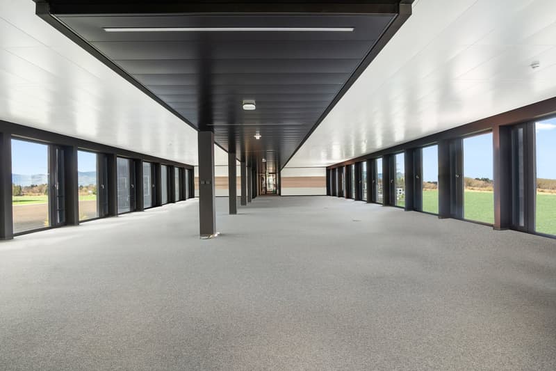 Espaces de bureau frontaliers dans un bâtiment neuf moderne (4)