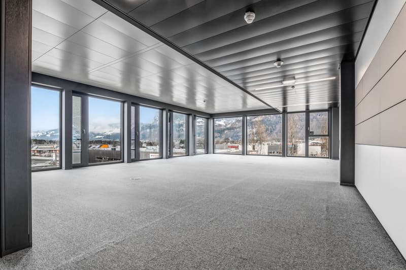 Espaces de bureau frontaliers dans un bâtiment neuf moderne (6)