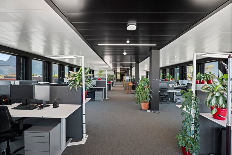 Espaces de bureau frontaliers dans un bâtiment neuf moderne (6)