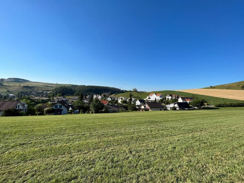 5.5-Room Semi-Detached House House C1 & C2 Niederdorf (14)