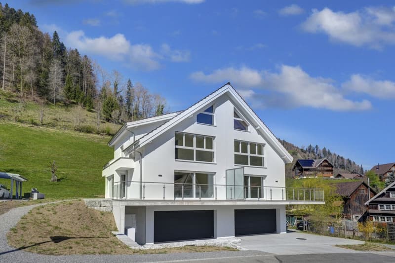 Moderne Doppelhaushälfte im Grünen mit Säntissicht – bezugsbereit (2)