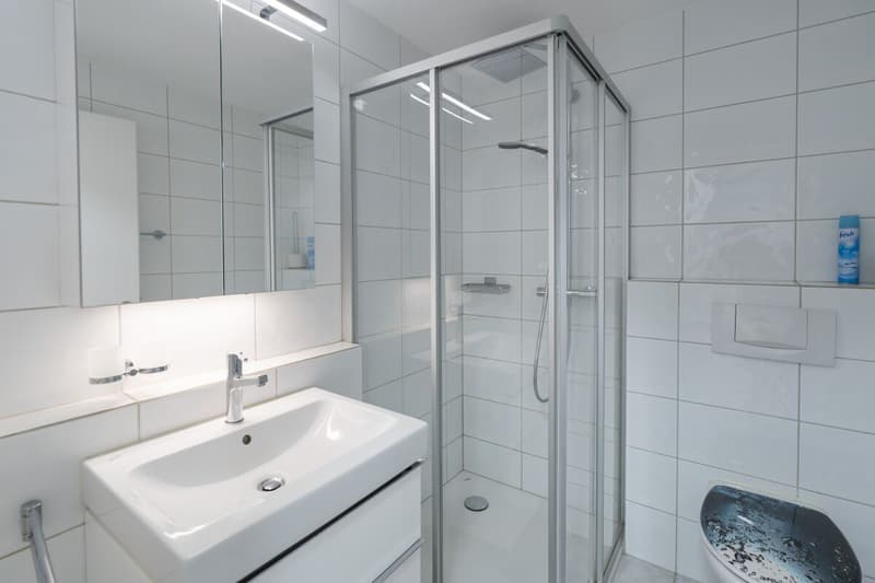Space for Life – well-maintained semi-detached house in an attractive location. (17)