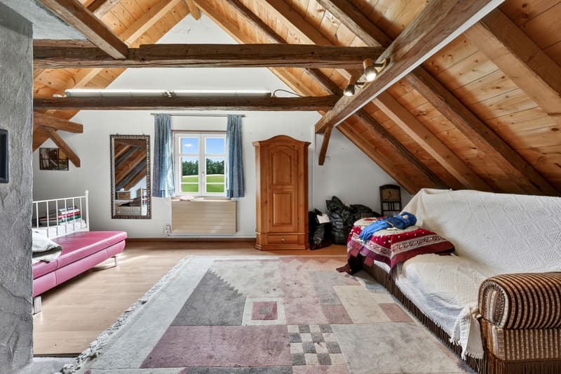 Casa colonica affascinante con due unità abitative in una posizione idilliaca e isolata a Oberwangen (Dussnang) (24)