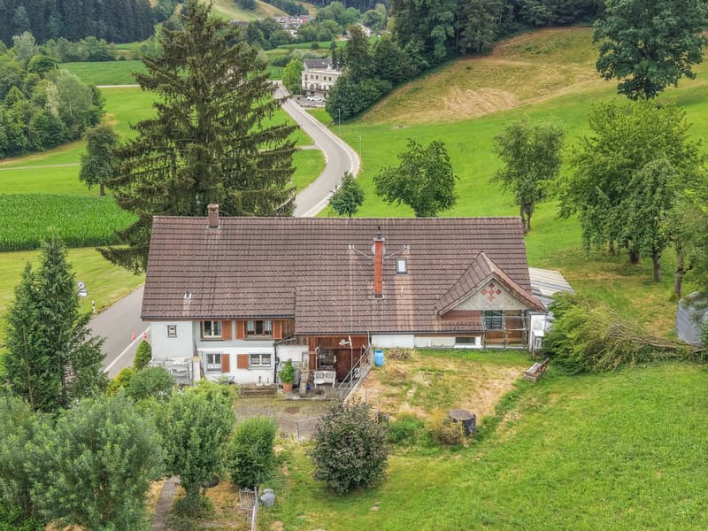 Casa colonica affascinante con due unità abitative in una posizione idilliaca e isolata a Oberwangen (Dussnang) (6)
