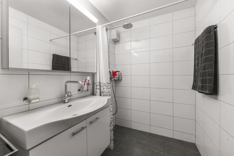 Wohnen mit Wohlgefühl: 4.5-Zimmer-Wohnung an idealer Lage (12)