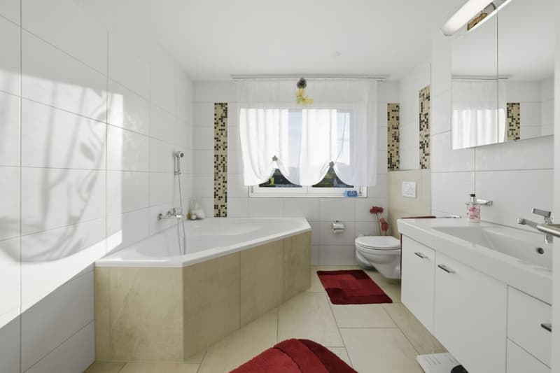 Grosszügige Dachmaisonettewohnung mit viel Licht und drei Balkonen (13)