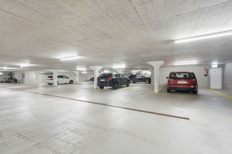 Grosszügig wohnen mit Säntisblick – moderne 4.5-Zimmer-Wohnung in Herisau (19)