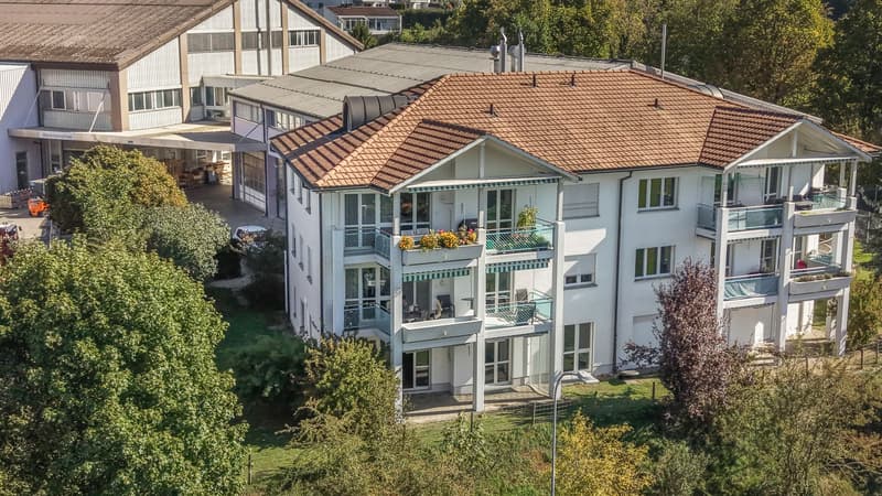 Wohnen mit Weitsicht: 4.5-Zimmer-Gartenwohnung mit viel Privatsphäre (14)