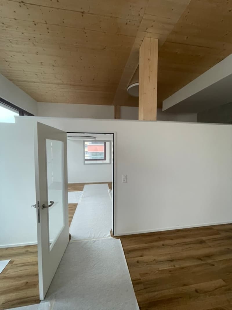 Ufficio/commerciale moderno a St. Gallen in un nuovo edificio (Dreilinden-Linsebühl) (7)