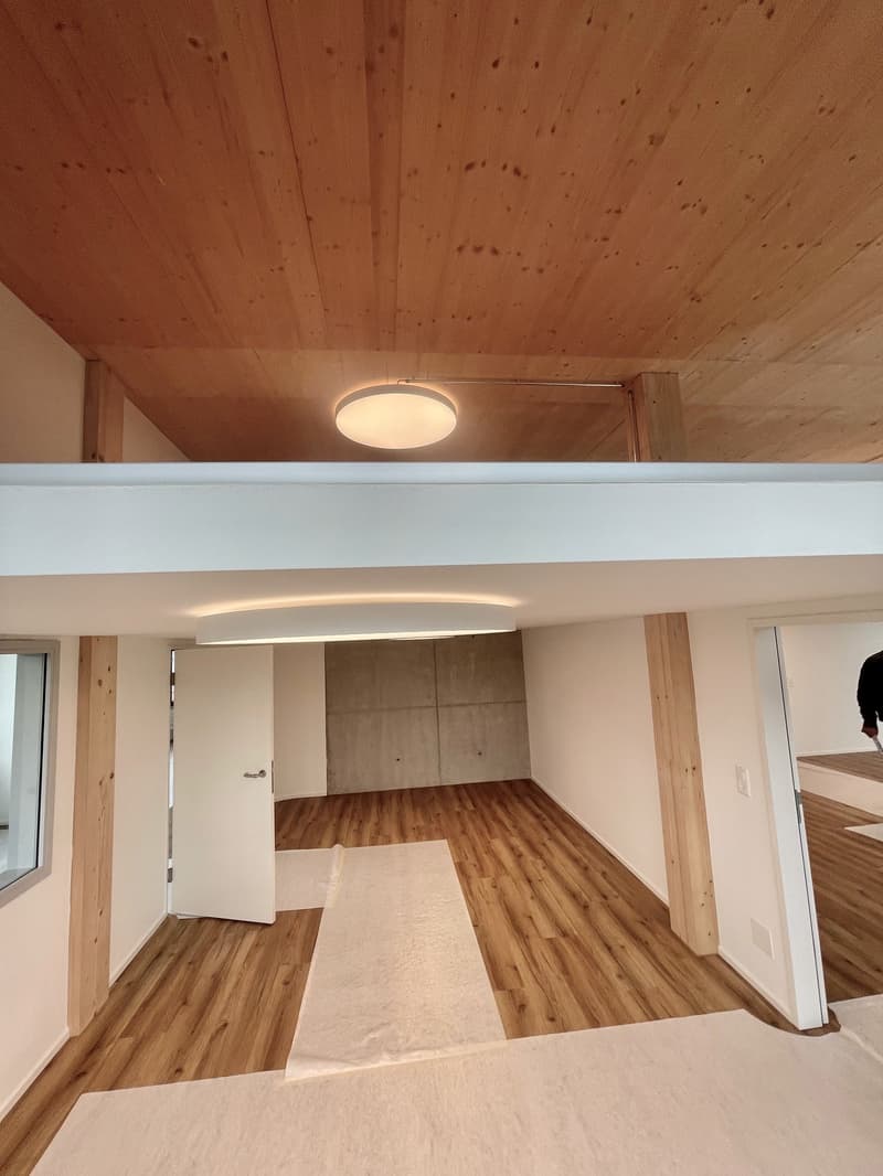 Ufficio/commerciale moderno a St. Gallen in un nuovo edificio (Dreilinden-Linsebühl) (10)