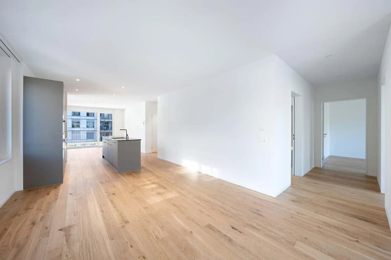 Moderne 4.5-Zi.-Neubauwohnung im Erdgeschoss in Buchs SG (3)