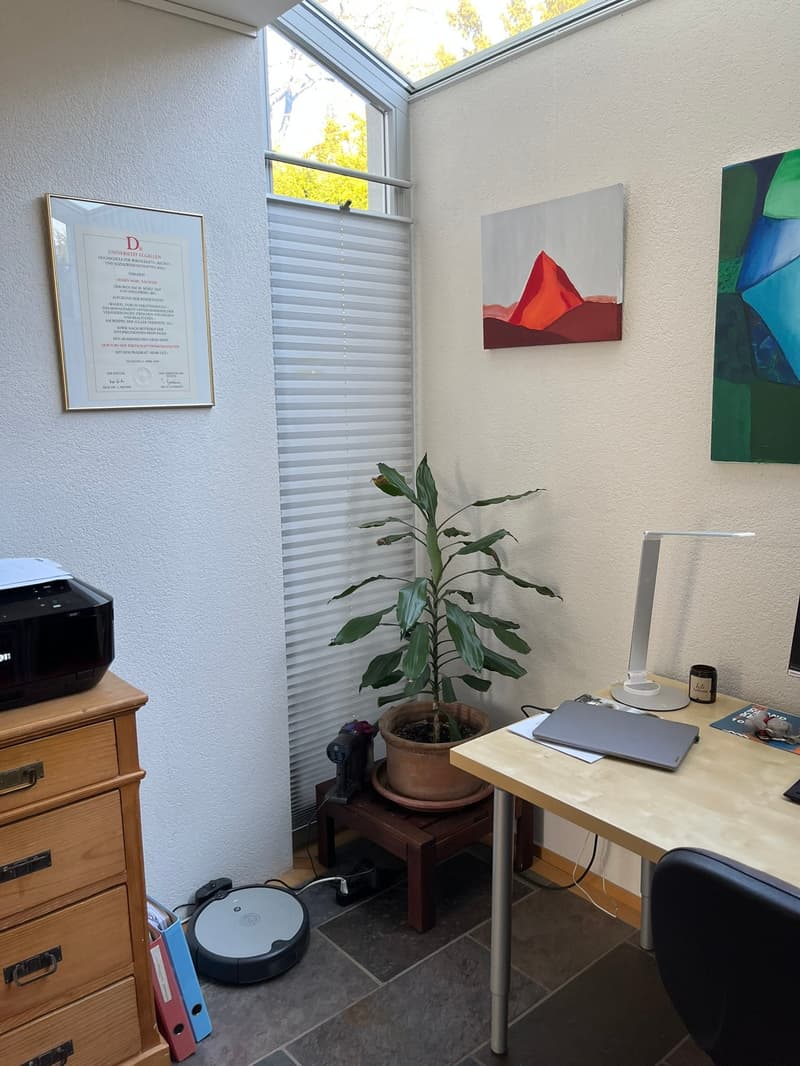 white walls, white floor, potted plant, desk with printer, chair, lamp, framed diploma, paintings