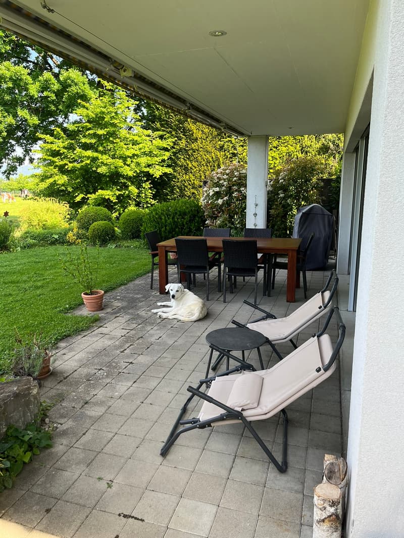 outdoor dining table, chairs, dog, garden, sun loungers, potted plants