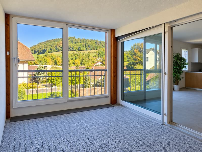 Lumineux et confortable, aux portes de Lausanne (6)