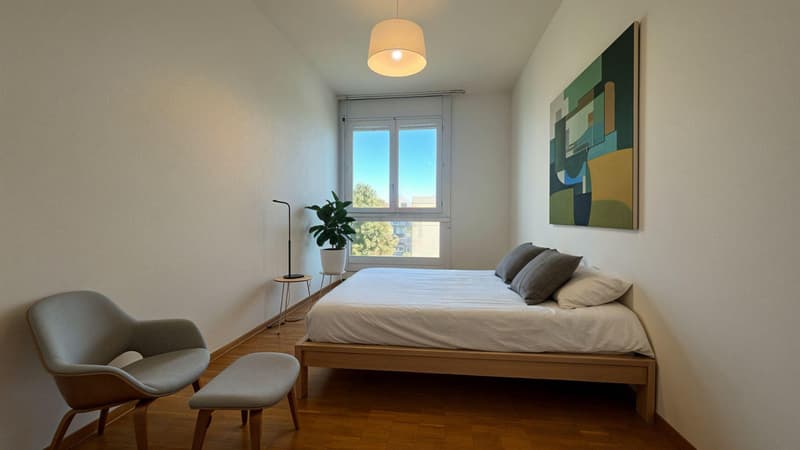 Prächtige 6-Zimmer-Wohnung mit Panoramablick (7)