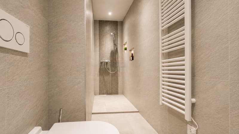 Charming Contiguous Villa of 6 rooms in a renovated old farmhouse in Veyrier (10)