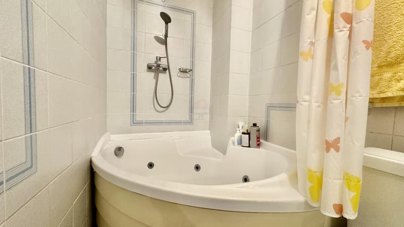 Charming 175 m² House, with a large garden (9)