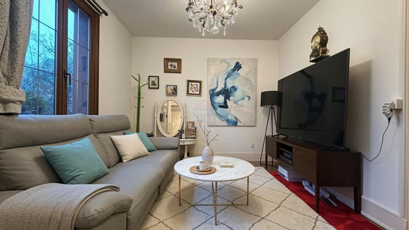 Charming 175 m² House, with a large garden (3)