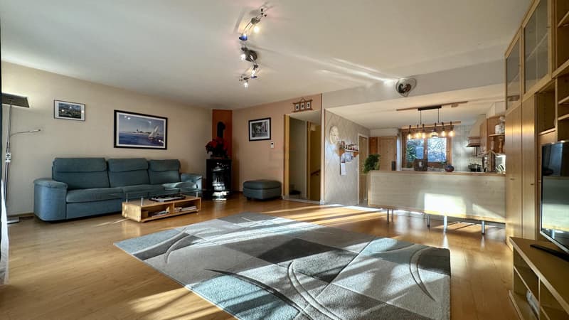 Charming 220m² House, Quiet (4)