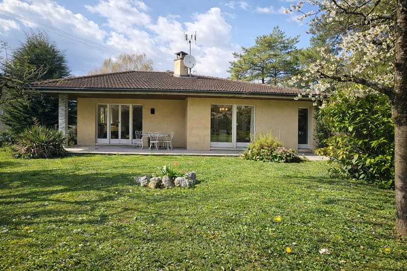 Elegante villa individuale con volumi generosi su un lotto di 1'088 m² con alberi (3)