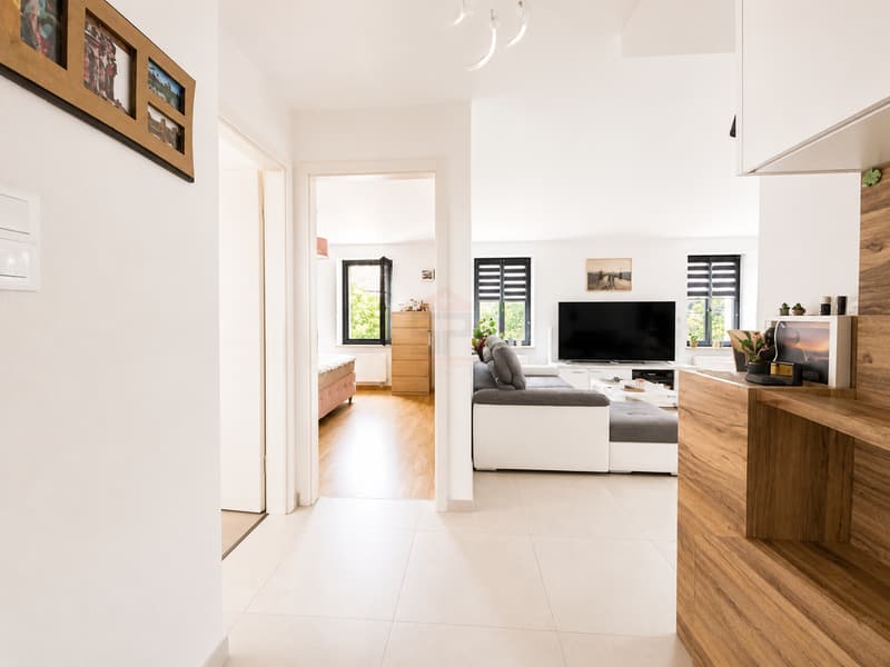 Beautifully renovated 4.5-room apartment, bright and ideally located (3)