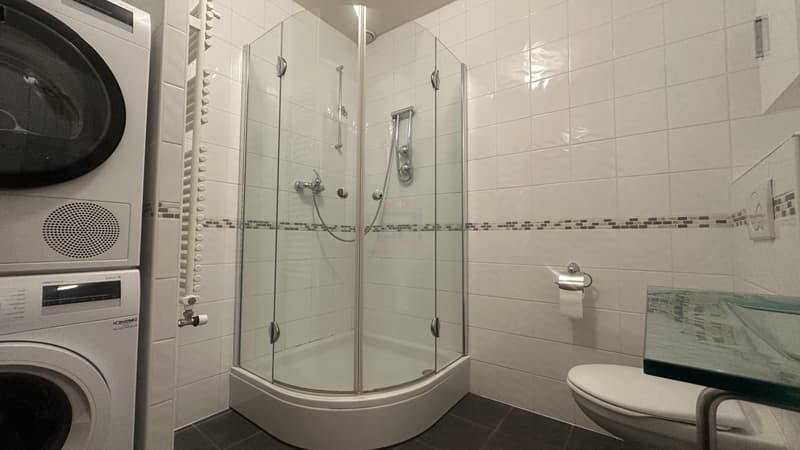 Duplex mit 7,5 Zimmern von Ausnahme im Herzen des Schlosses Barillet, Lebenskunst zwischen Weinbergen und Genf (9)